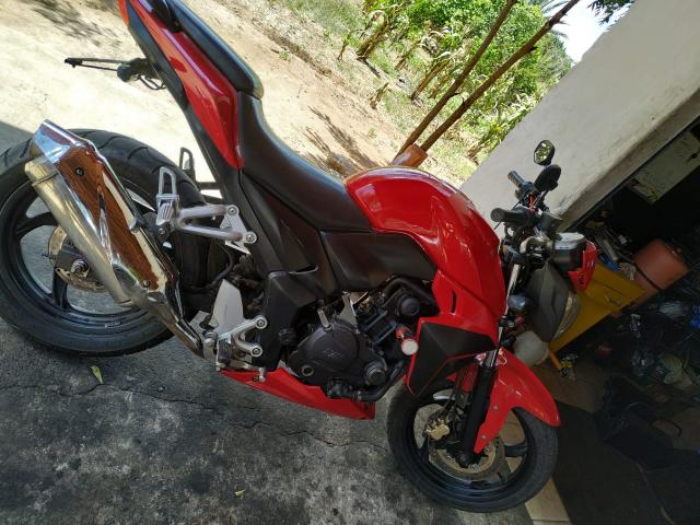 Next 250 - Foto 7