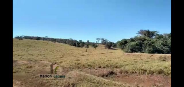 Fazenda em Morrinhos-Go - Foto 9