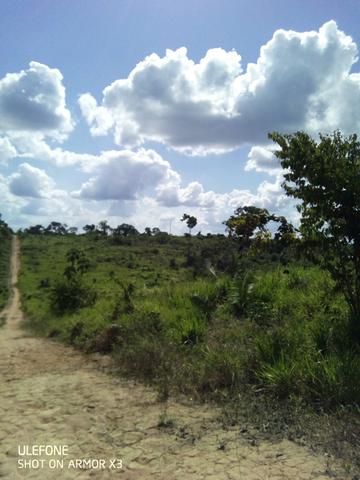 Fazenda a preço de ocasião - Foto 14