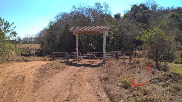 Rural fazenda com 4 quartos - Bairro Centro em Nova Tebas - Foto 2