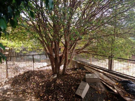 Terreno para alugar com 0 dormitórios em Jardim novo campos elíseos, Campinas cod:TE004486 - Foto 10