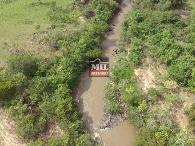 Vende ou troca por terra maior Chácara 5 Alqueires São Miguel do Passa Quatro-GO - Foto 17