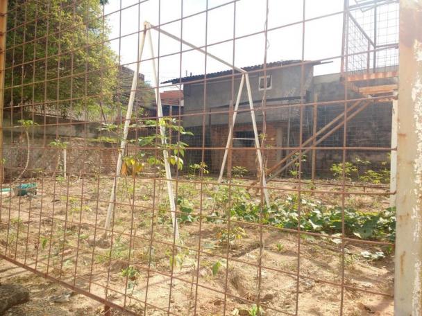 Terreno para alugar com 0 dormitórios em Jardim novo campos elíseos, Campinas cod:TE004486 - Foto 2