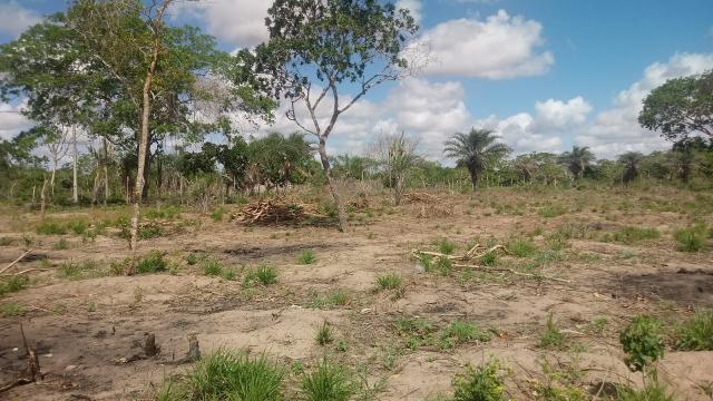 Terreno