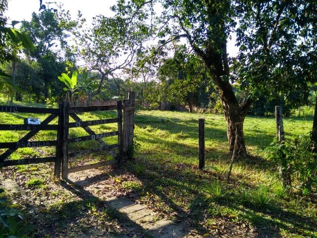 Caetano Imóveis - Terreno escriturado com 2.550m² ideal para sítios (400m do asfalto) - Foto 4