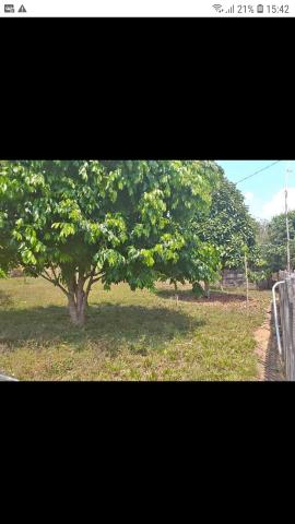 Vendo terreno,na Vila Acre,Ramal da Castanheira,medindo 20x45 - Foto 5