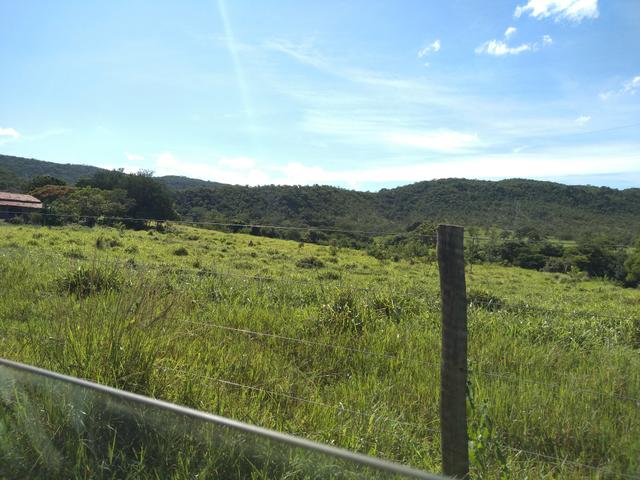 Sitio 41 hect. a 12 km de Unaí - Foto 3