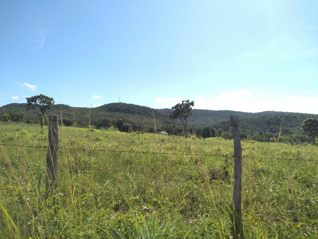 Sitio 41 hect. a 12 km de Unaí - Foto 6
