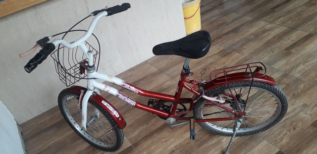 Bicicleta