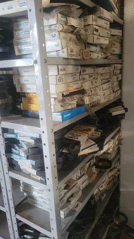 Lote de Correia - Foto 2