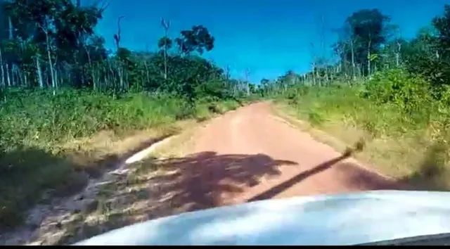 Fazenda em Rorainopolís RR 2900 hectares - Foto 3