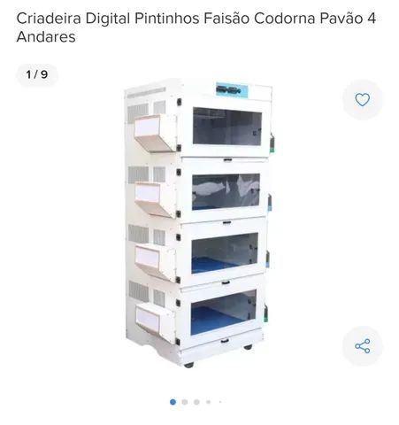 Pintinhos (Criadeira para pintinhos chocamaster)