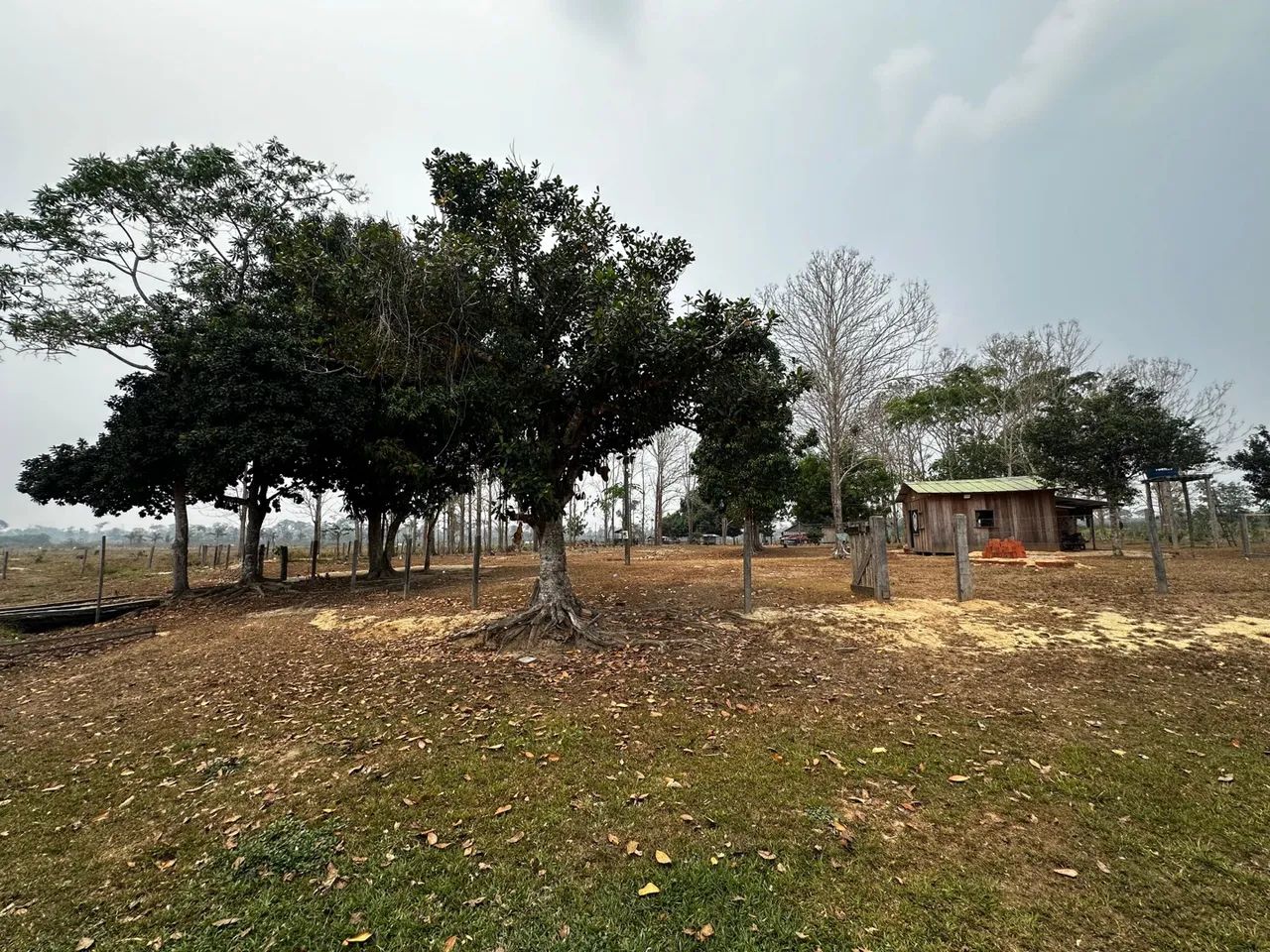  Vendo uma colônia de 15 hectares, no ramal da alcobras no km15  - Foto 4