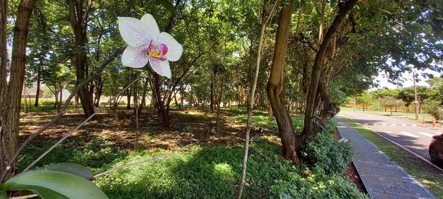Terreno à venda 306m2 em condomínio Quinta da Primavera Praça das Flores, em Ribeirão Pret - Foto 2