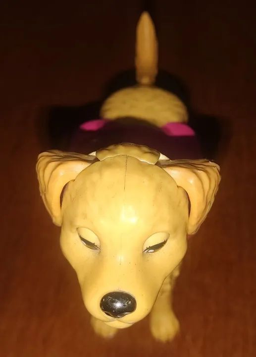 Cachorro da Barbie  - Foto 2