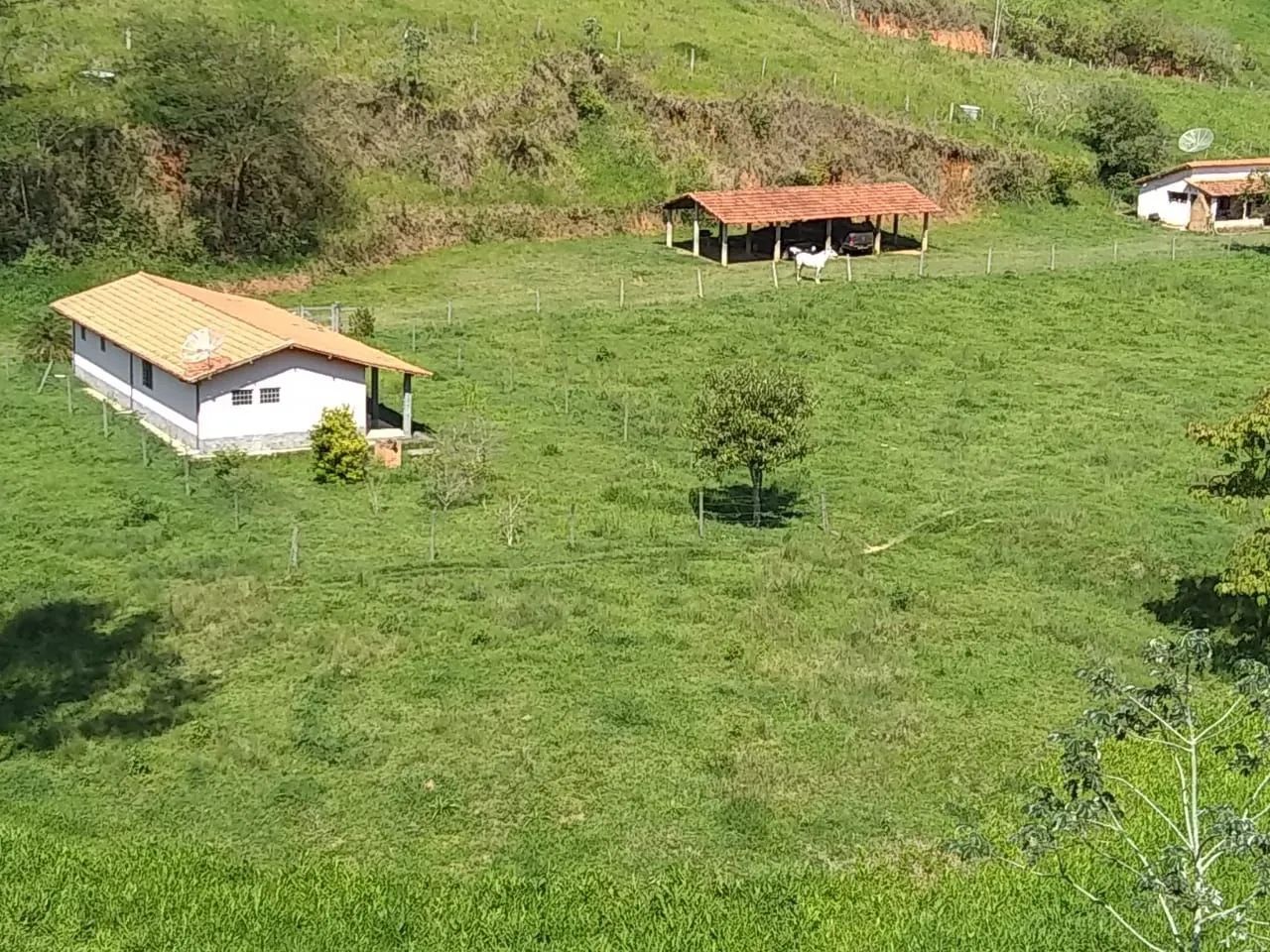 Paraíba do Sul - 11.5 alqueires. Oportunidade única! - Foto 12