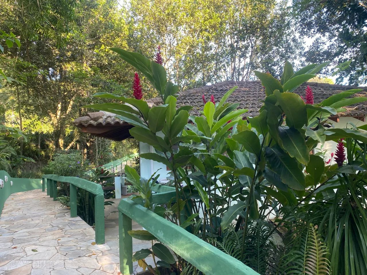 Casa refúgio - anual - Praia Preta de Juquehy - Foto 4