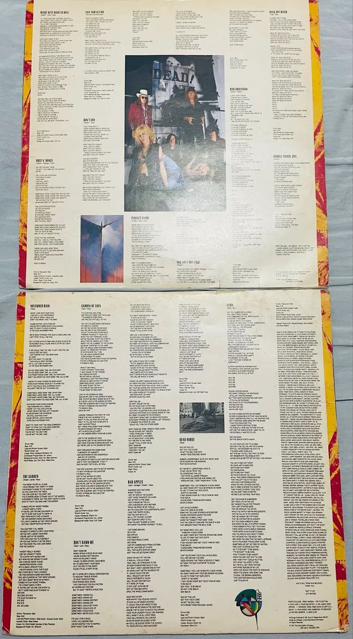 Vinil Álbum duplo Guns in Roses - Foto 4