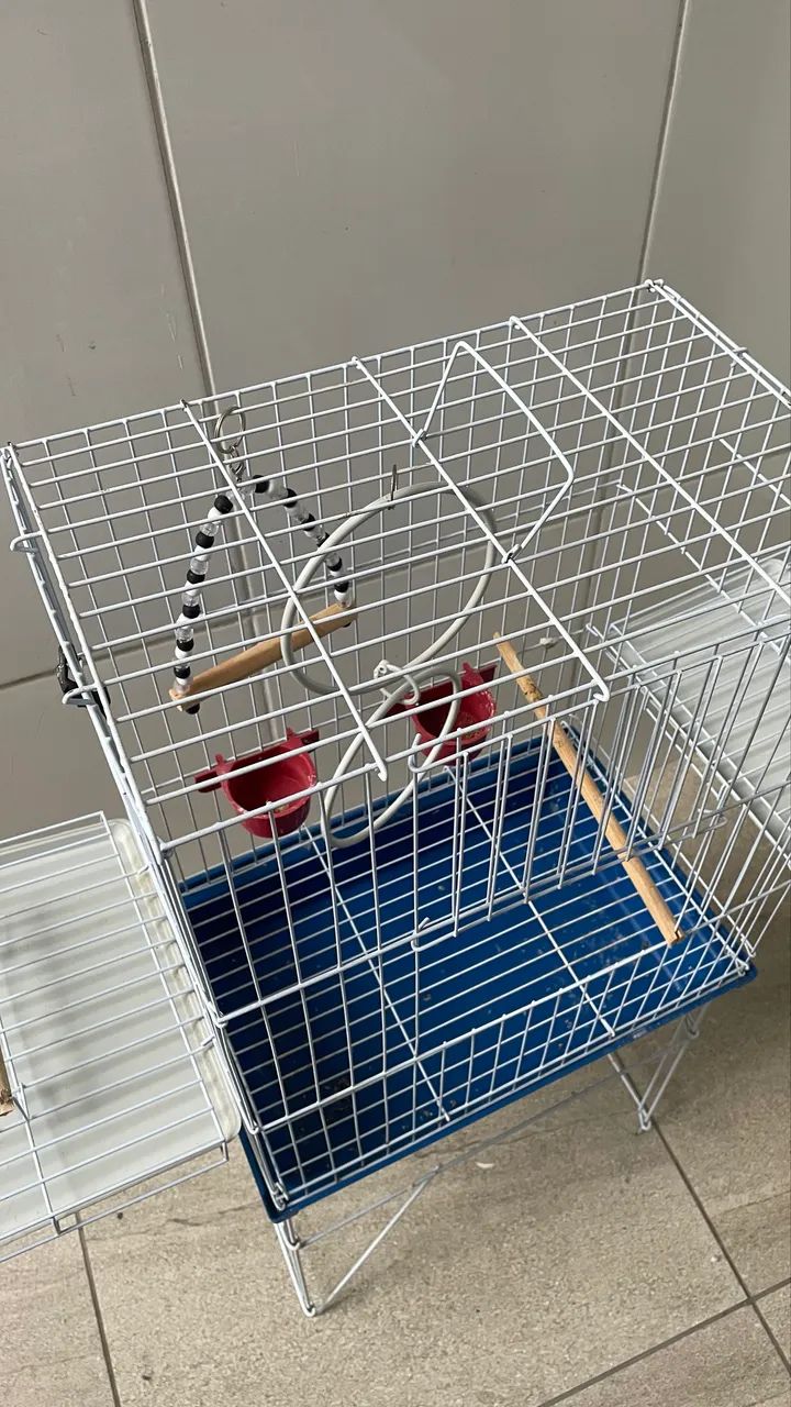 Gaiola/ Viveirospara Calopsitas  - Foto 3