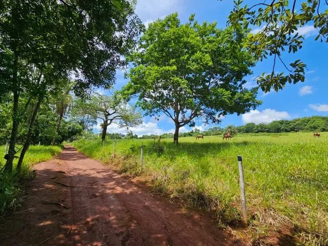 Chácara (Sítio) Parcelado 2 hectares (20.000 m2) - Foto 2