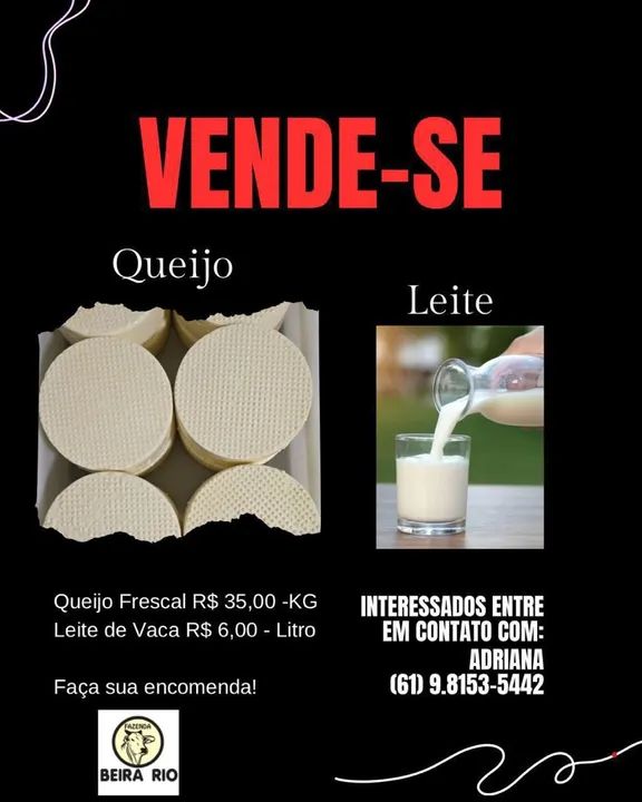 Queijo Frescal e Leite de Vaca - Direto da Fazenda!