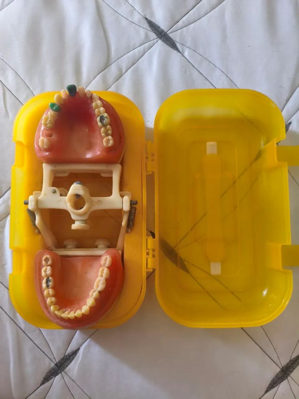 Manequim odontologico - Prodens - Foto 3