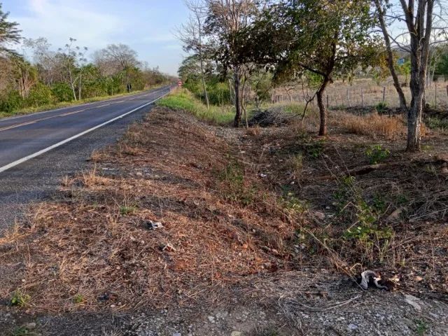 VENDO AREA 2HECTARES EM BODOQUENA MS  - Foto 5