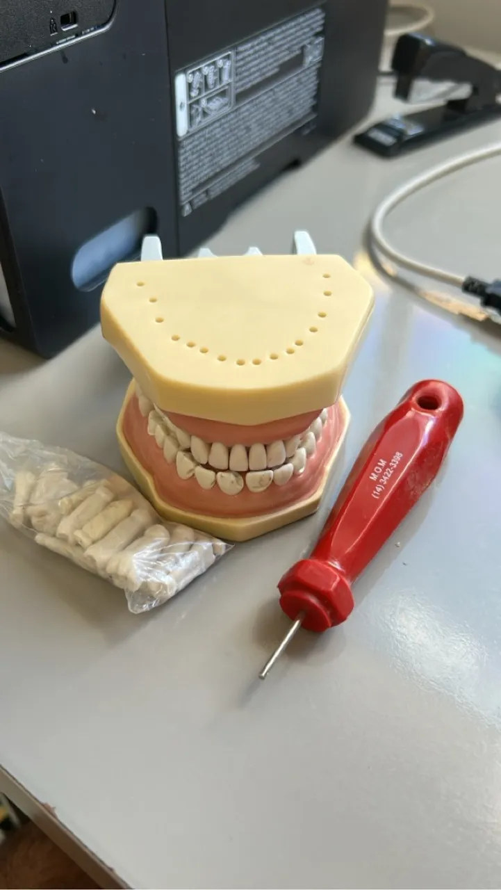 Manequim odontológico