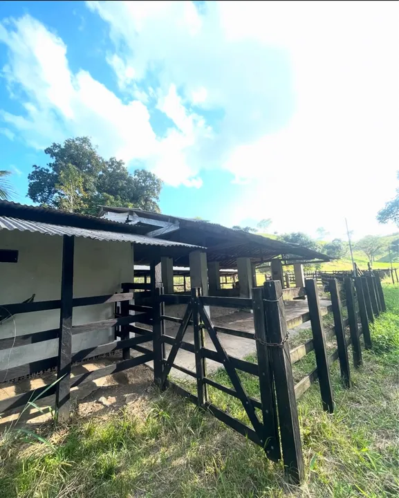 Sítio em Colônia de Leopoldina 15,5 Ha