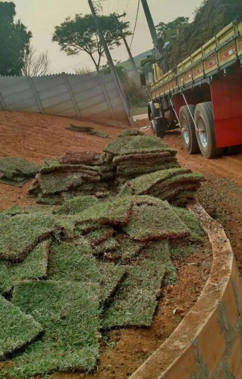 Gramas de alta qualidade apartir de 6, 99 ó m2 já plantado.