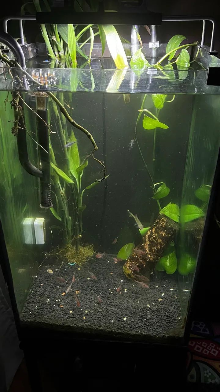 Aquário 96 litros com suporte de ferro  - Foto 4