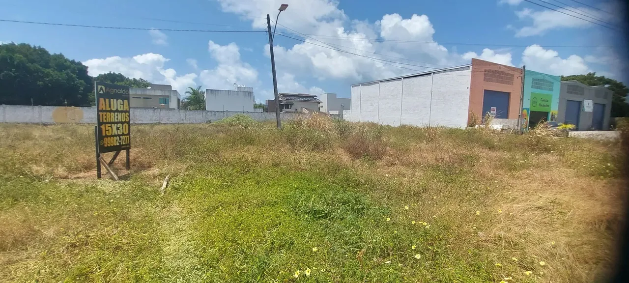 ALUGO TERRENOS/ LITORAL SUL/ BEIRA DA PISTA