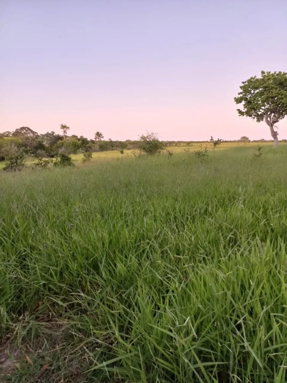 Imóvel para venda tem 6000000 metros quadrados com 3 quartos em Aparecida - Pirapora - MG - Foto 6