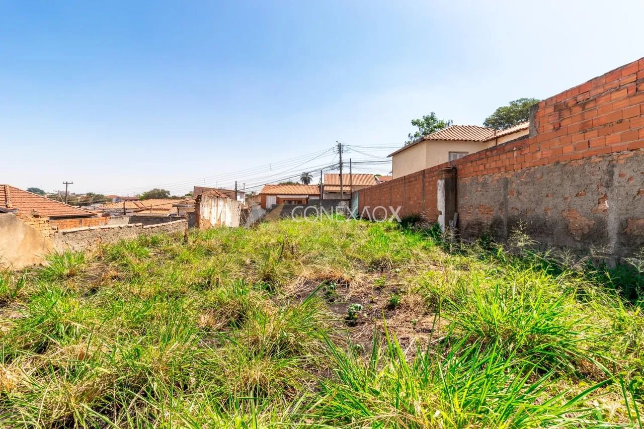 terreno - Vila Marieta - Campinas - Foto 3