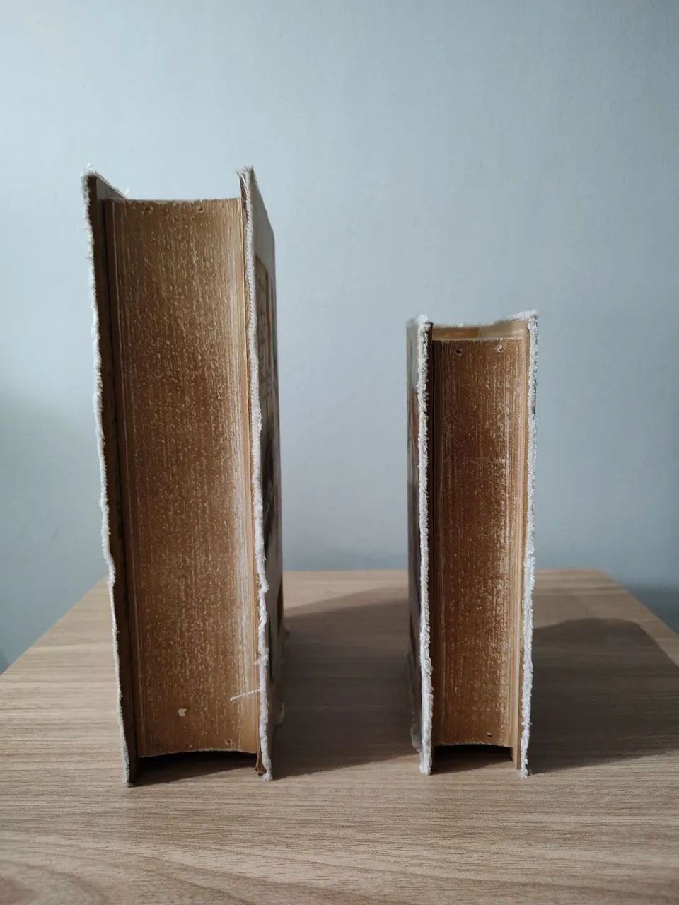 Caixa livro pássaros  - Foto 3