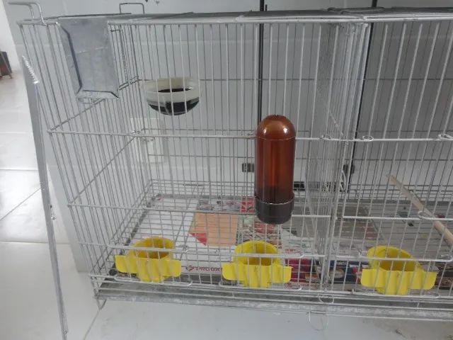 GAIOLA CRIADEIRA PARA CANÁRIOS DE COR E PORTE, AGAPORNIS, PERIQUITOS, ETC... - Foto 2