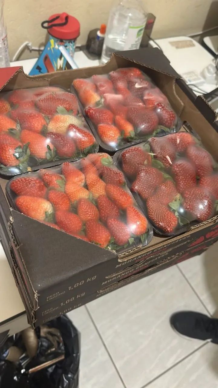 Morango - Foto 4