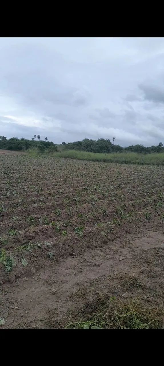 Vende se esse sitio - Foto 2