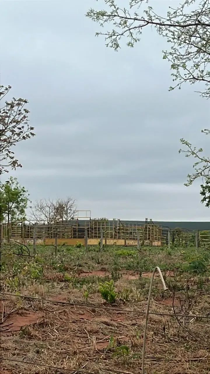 CÓD557  Chácara 7hectares  30 km de Campo Grande (MS-040) - Foto 5