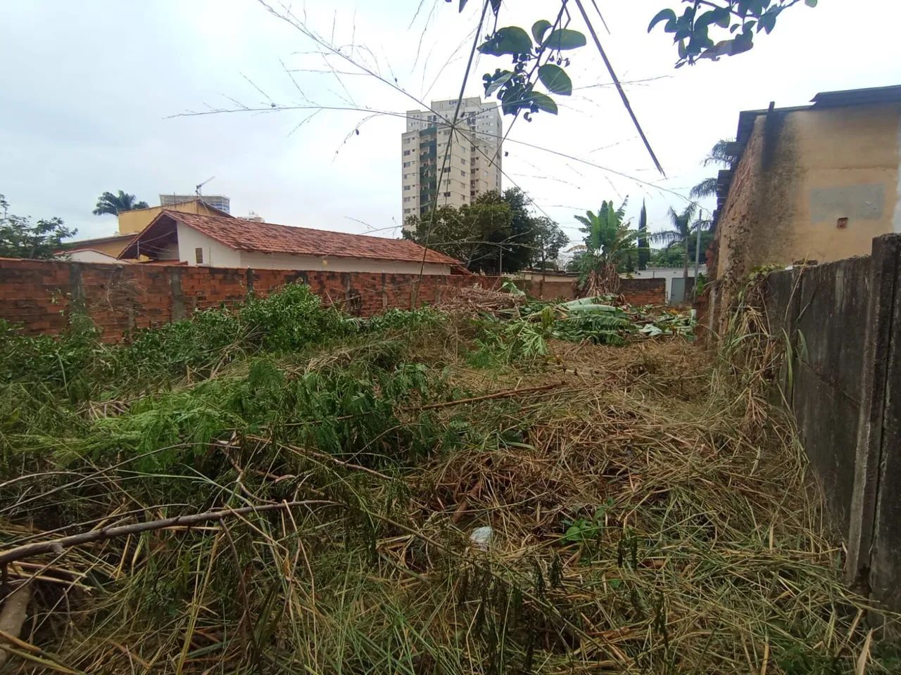 Terreno Lote Residencial - Foto 4