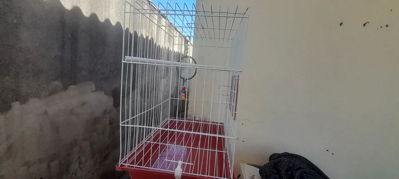 Gaiola Seminova - Foto 4