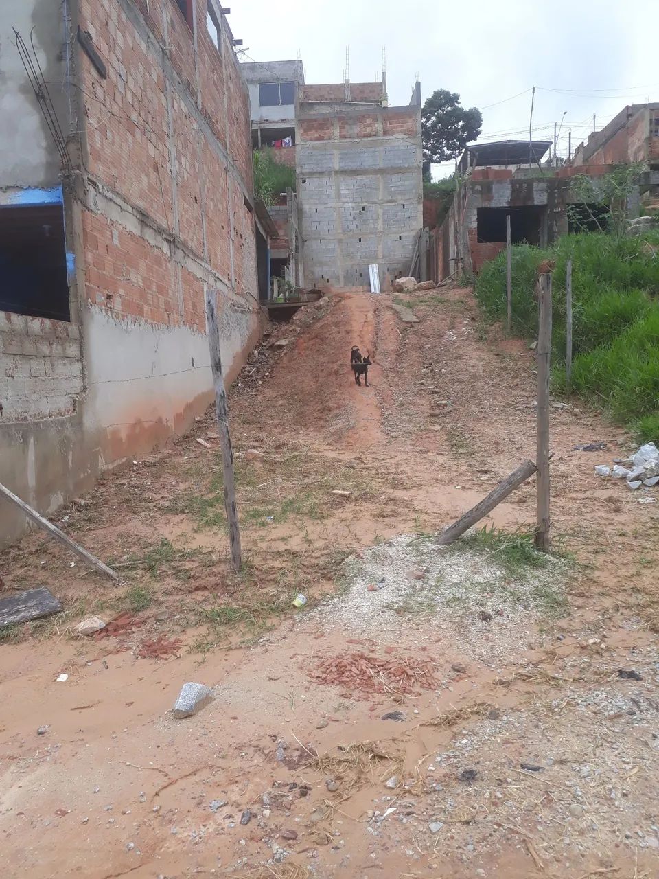 Meio lote - Foto 5