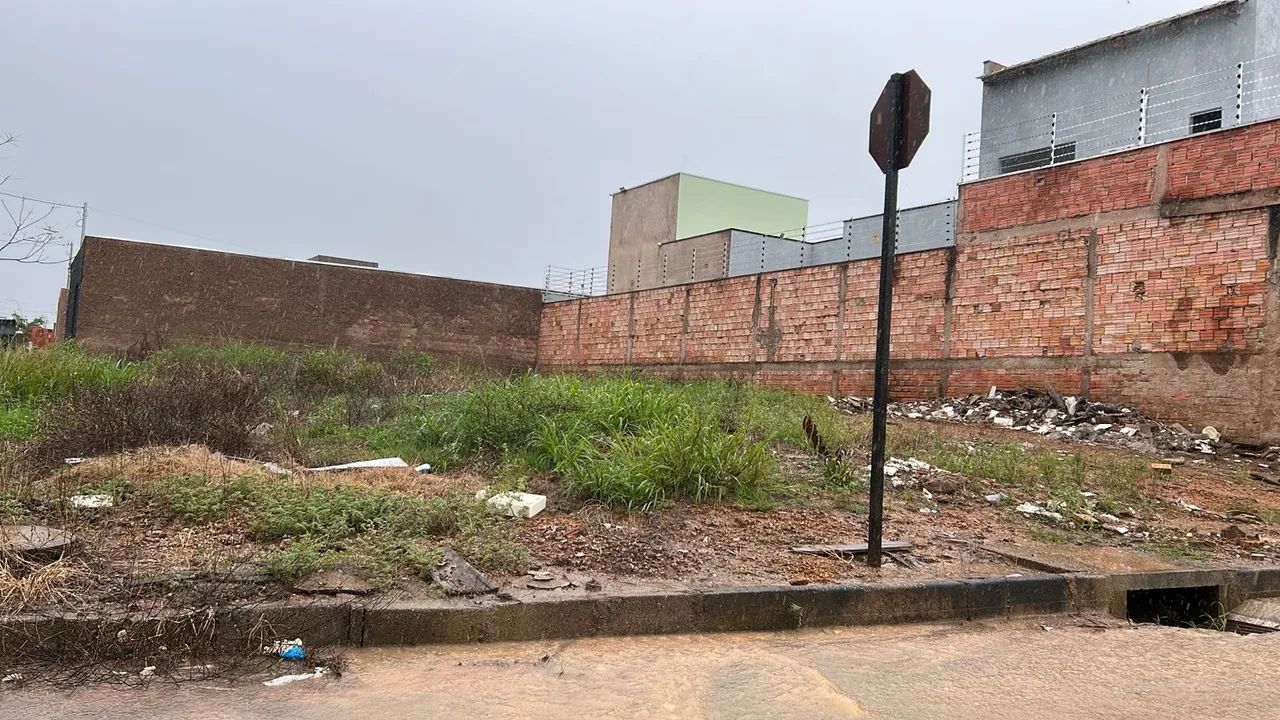 Foto - Porto Velho - Liberdade