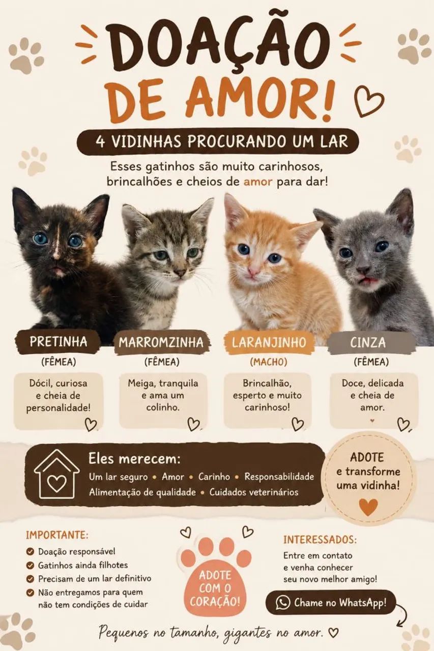 Adoção 