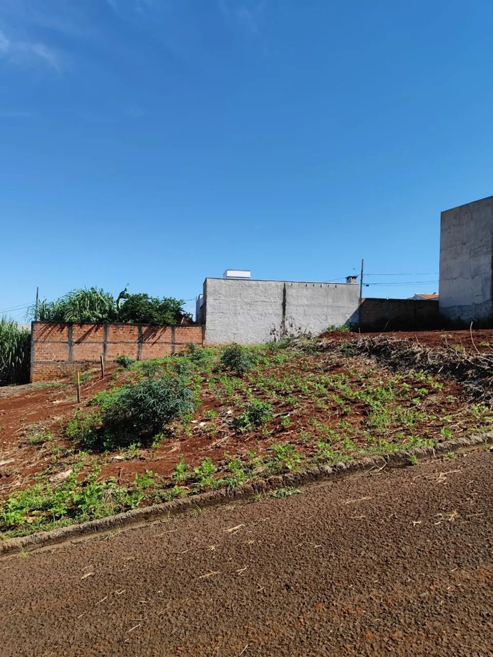 Terreno à Venda - , Califórnia - Foto 4