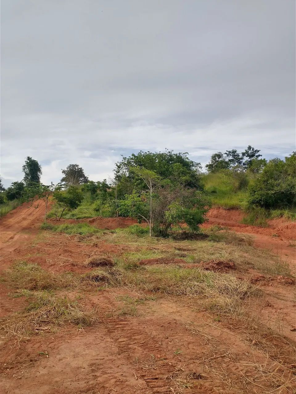 Chácara  - Foto 3