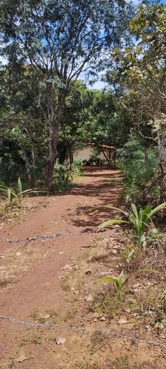 Chácara em Silvânia -Goiás  - Foto 5