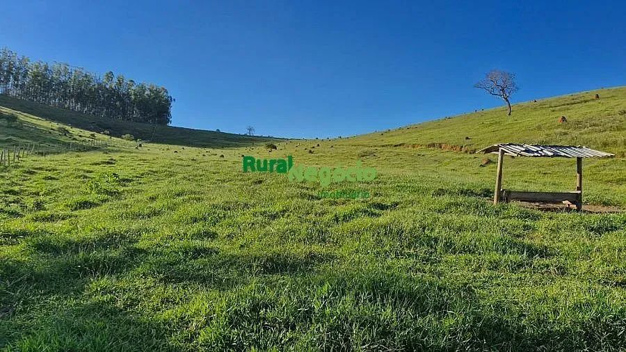SÍTIO FORMADO À VENDA EM SÃO LUIZ DO PARAITINGA/SP - Foto 5