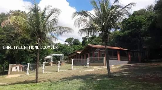 Área Rural para Venda em Assaí - Foto 2
