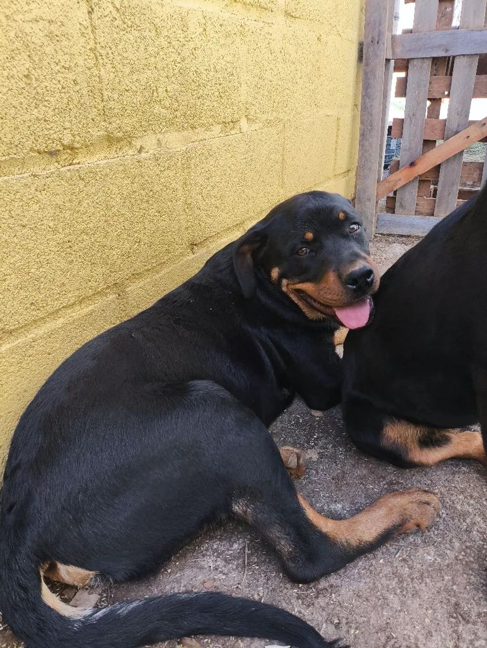 Vendo  - Foto 4